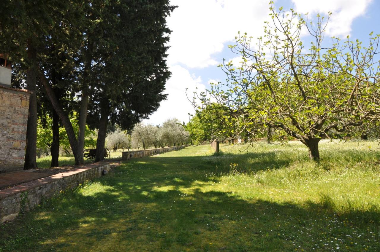 Agriturismo Testalepre Greve in Chianti Eksteriør billede