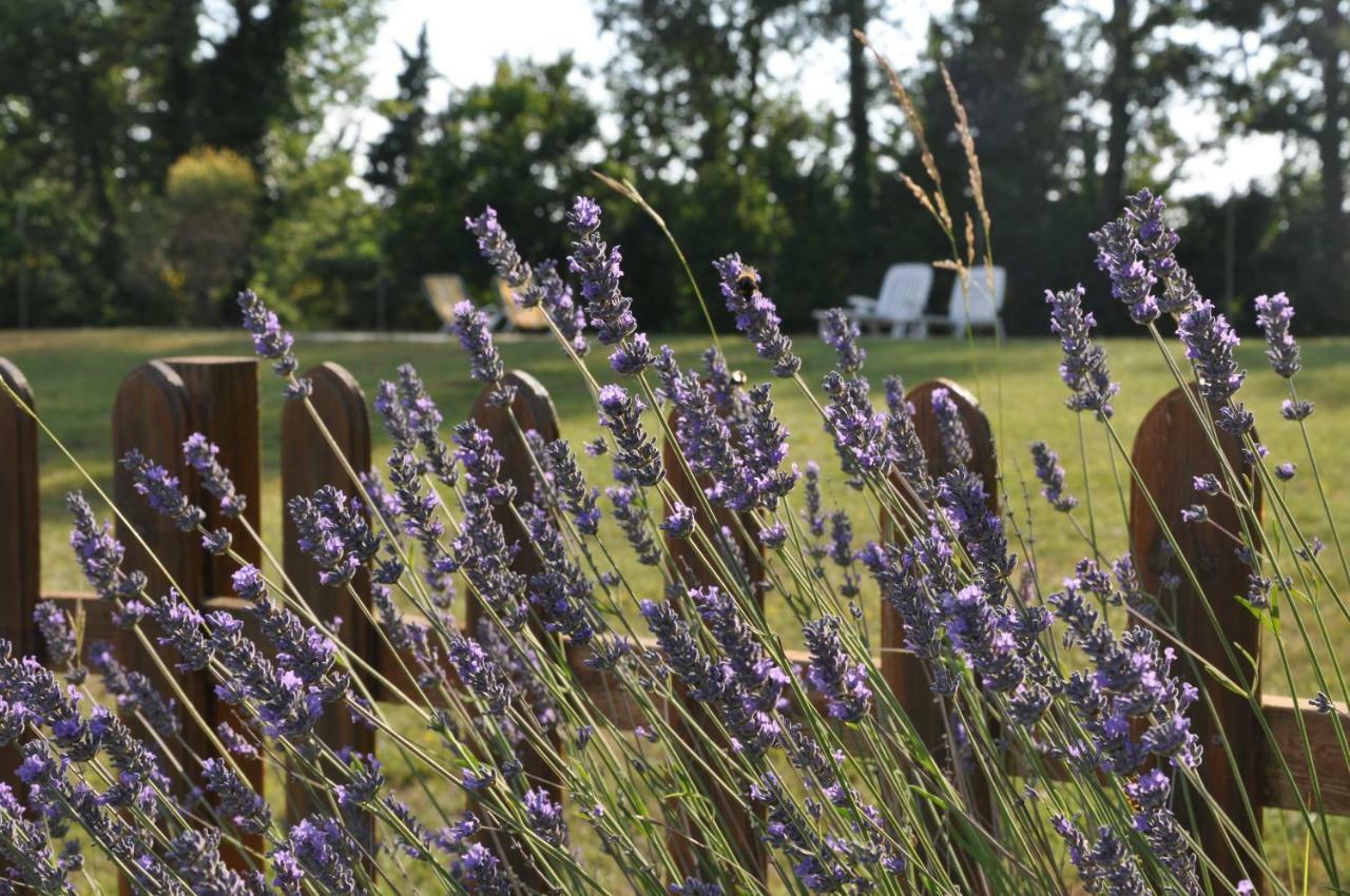 Agriturismo Testalepre Greve in Chianti Eksteriør billede
