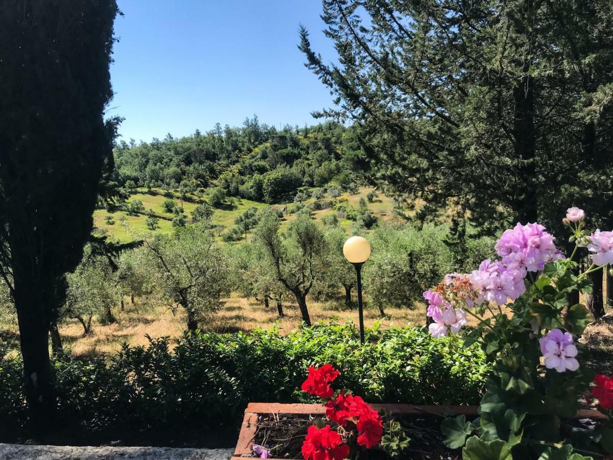 Agriturismo Testalepre Greve in Chianti Eksteriør billede